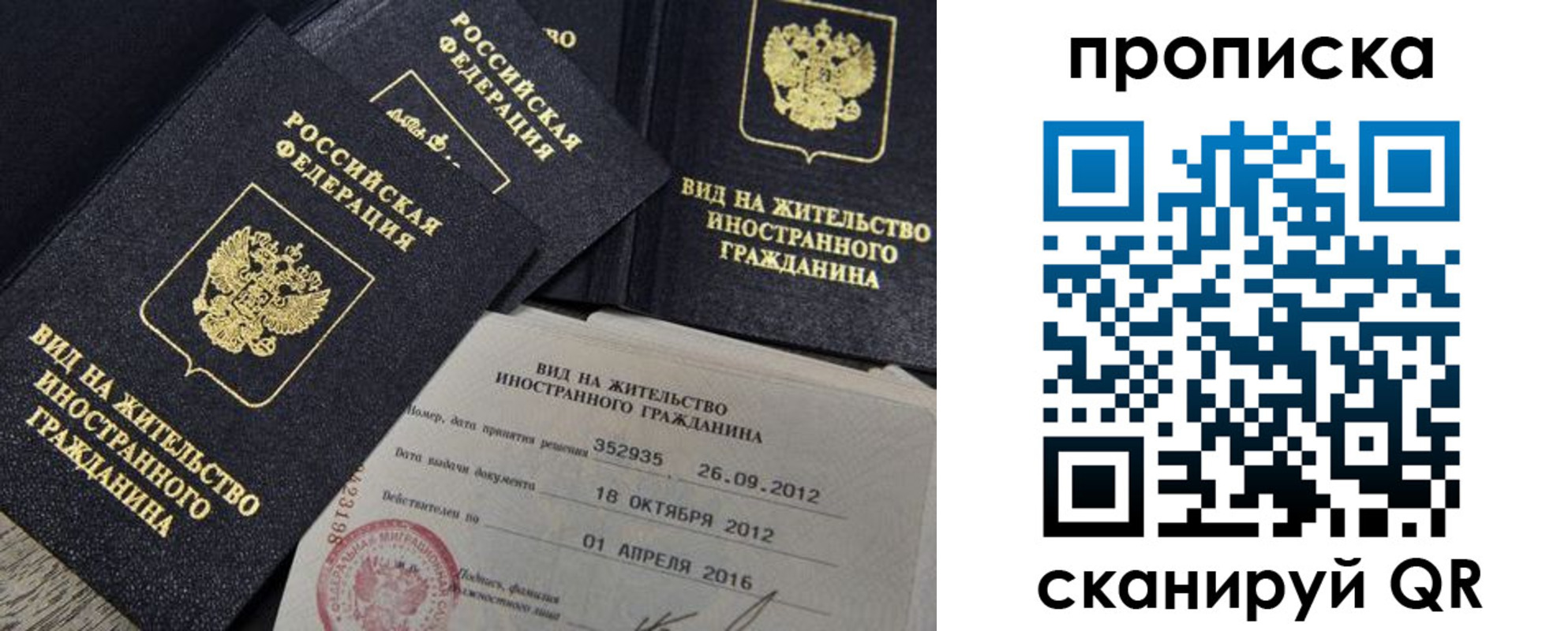 прописка в Сафоново